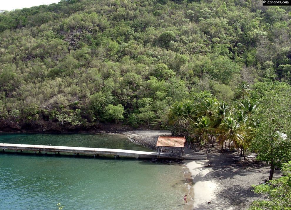 Plage anse noire martinique